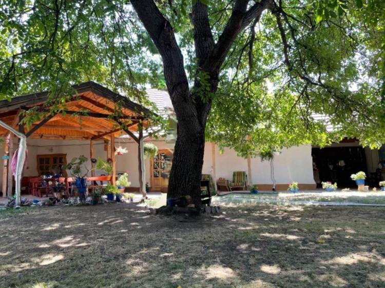 אגרסאלוק Guesthouse Kohari מראה חיצוני תמונה